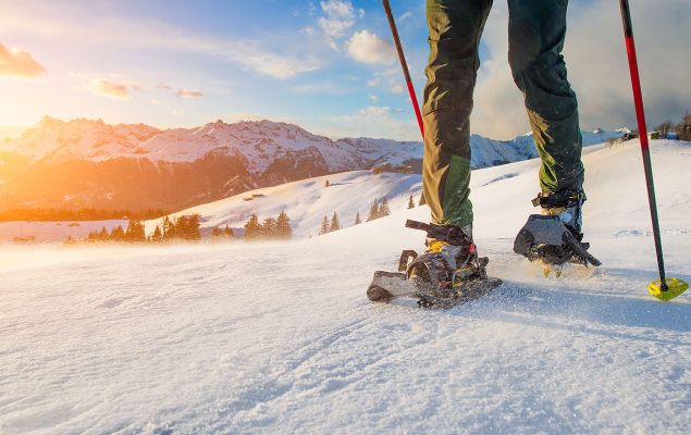 Ciaspolate nella neve Ciaspolate nella neve